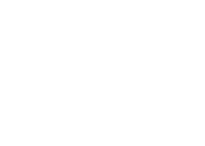 medela
