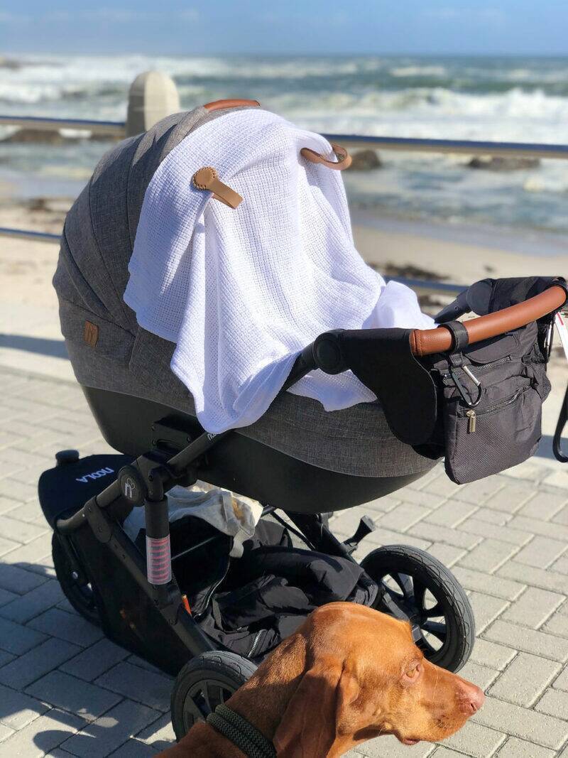 Stella Clip in Beach Bébé, attached to a stroller with a blanket, set against a coastal backdrop with waves.