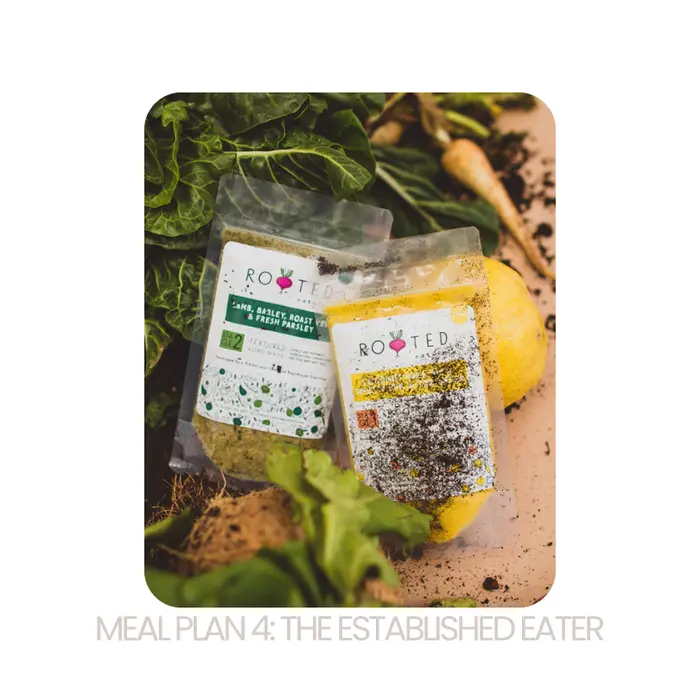 Rooted Natural Meal Plan 4:  Established Eater 2.0 — Rooted Natural Meal Plan 4: Established Eater 2.0