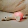 Flow Amsterdam Plush Night Light featuring Liva the character, soft plush design with a warm glowing light.