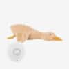 Flow Amsterdam Liva Heartbeat Rechargeable Comforter in beige and brown, shaped like a goose with a soft texture.