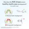 Nuk First Choice Soother in whale style for ages 18-36M, showcasing its unique shape for healthy teeth and jaw development.