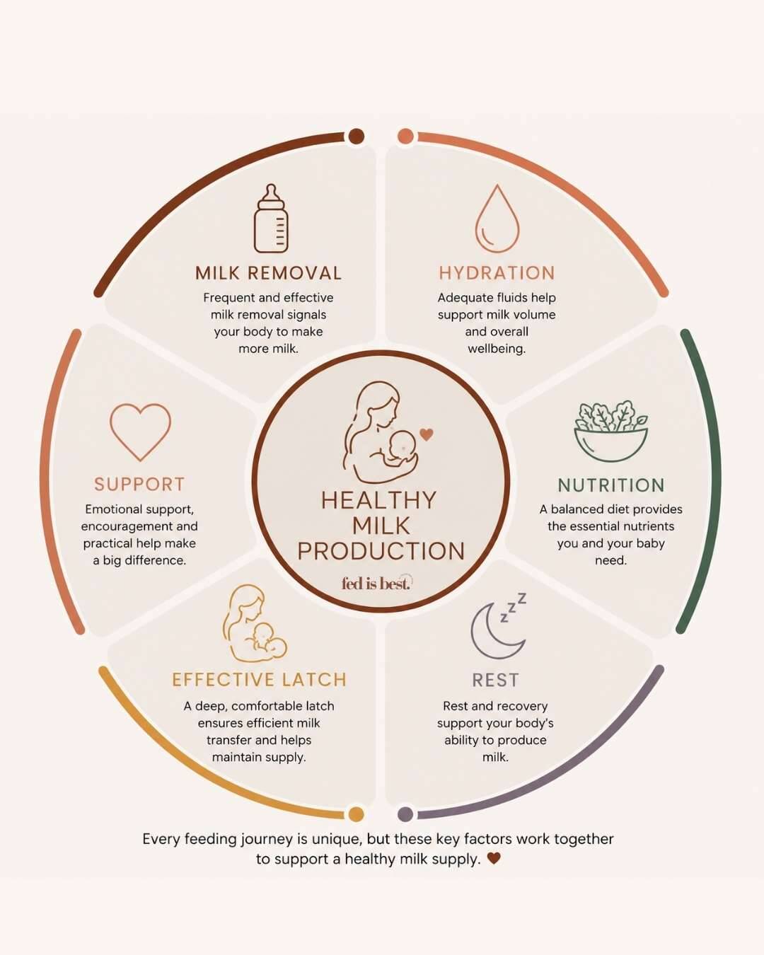 Infographic on healthy milk production featuring six key factors: milk removal, hydration, support, nutrition, effective